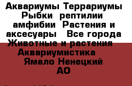 Аквариумы.Террариумы.Рыбки, рептилии, амфибии. Растения и аксесуары - Все города Животные и растения » Аквариумистика   . Ямало-Ненецкий АО